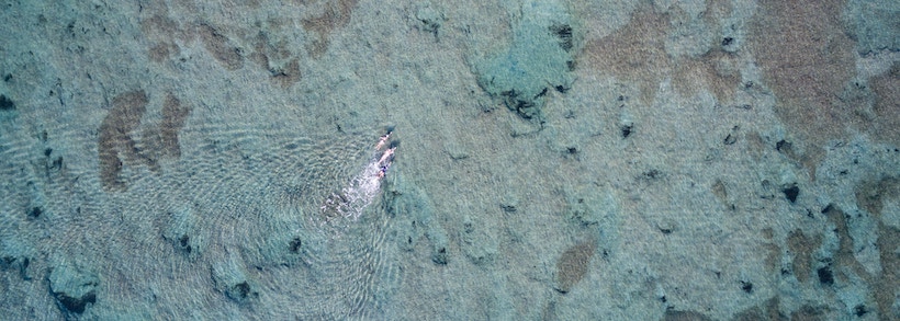 vista Aérea das pessoas a nadar no mar