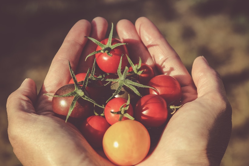 https://cdn.manyeats.com/wp-content/uploads/2019/08/tomatoes-in-hand.jpg