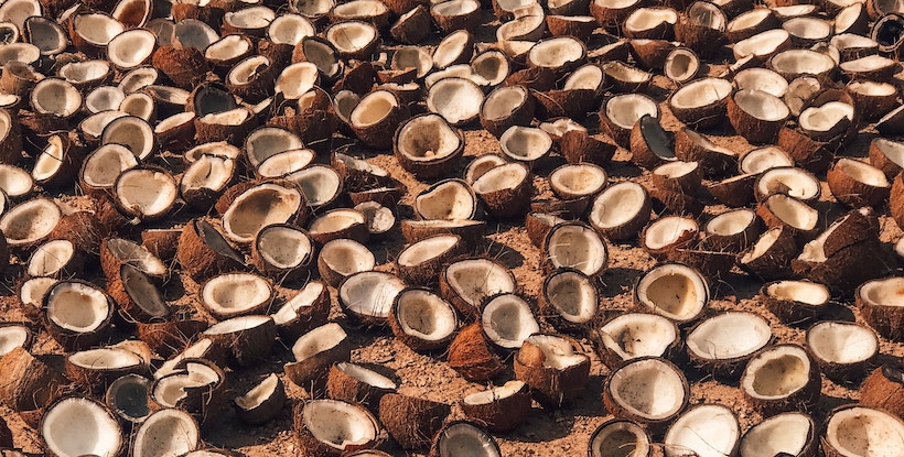 Many coconut husks split in two on the sand