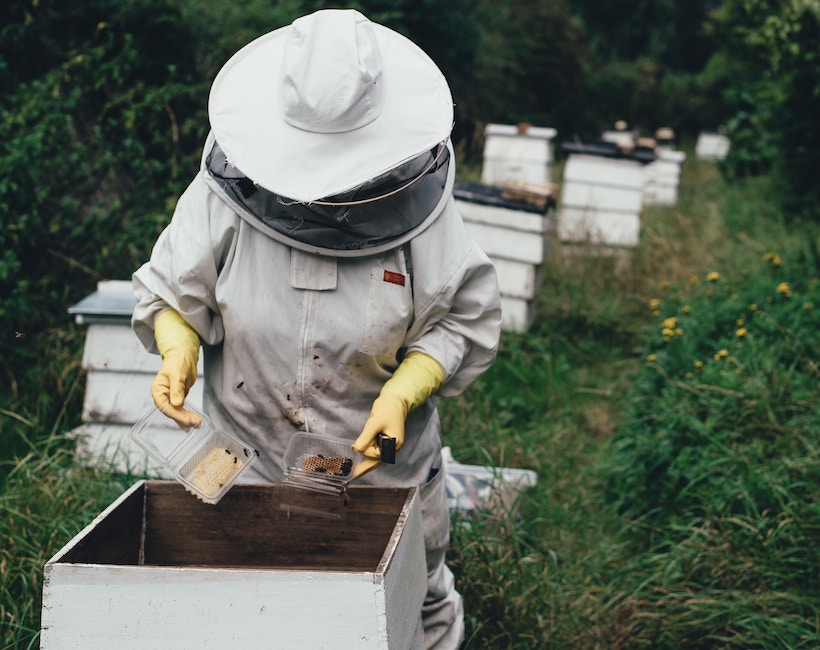 A beekeeper in a suit tends to a nest