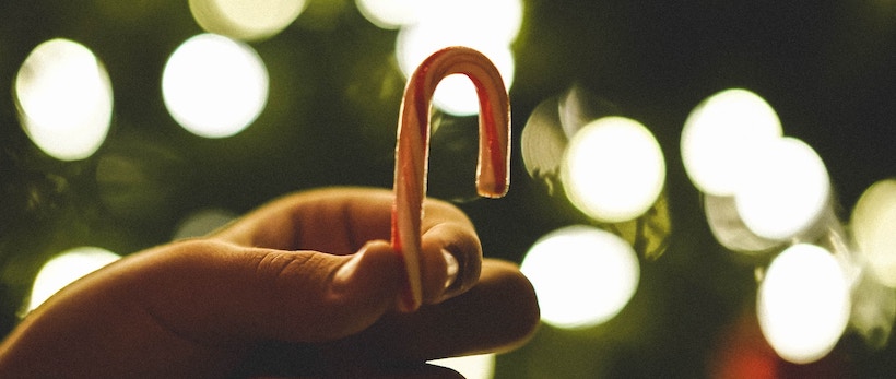 Candy cane held by lady with tree in background with blur