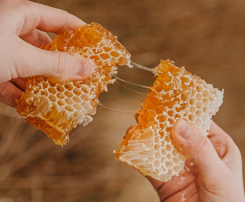 Person breaks apart a honeycomb