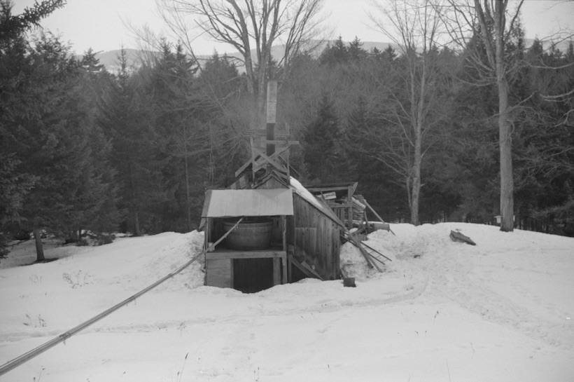 Pipeline taking sap to sugar house at Gaylord's Farm, Waitsfield, Vermont