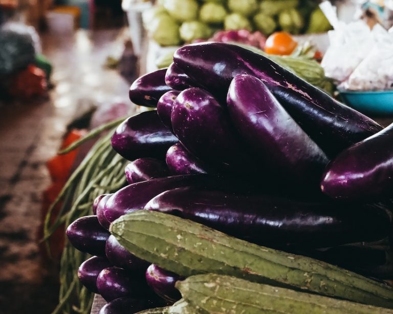 History of the Eggplant Delicious with a Poisonous Reputation ManyEats