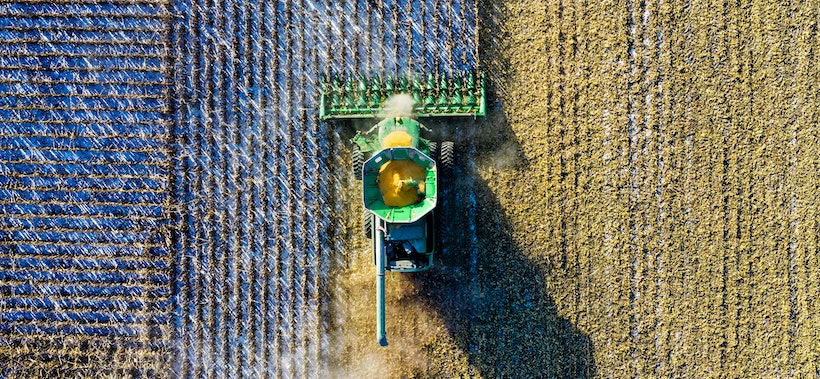 A harvester harvesting corn in a field