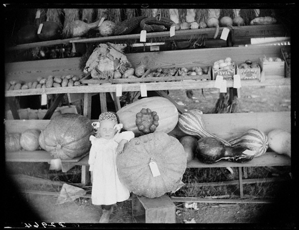 A young girl stands next to pumpkins at the Custer County Fair in Nebraska in 1886