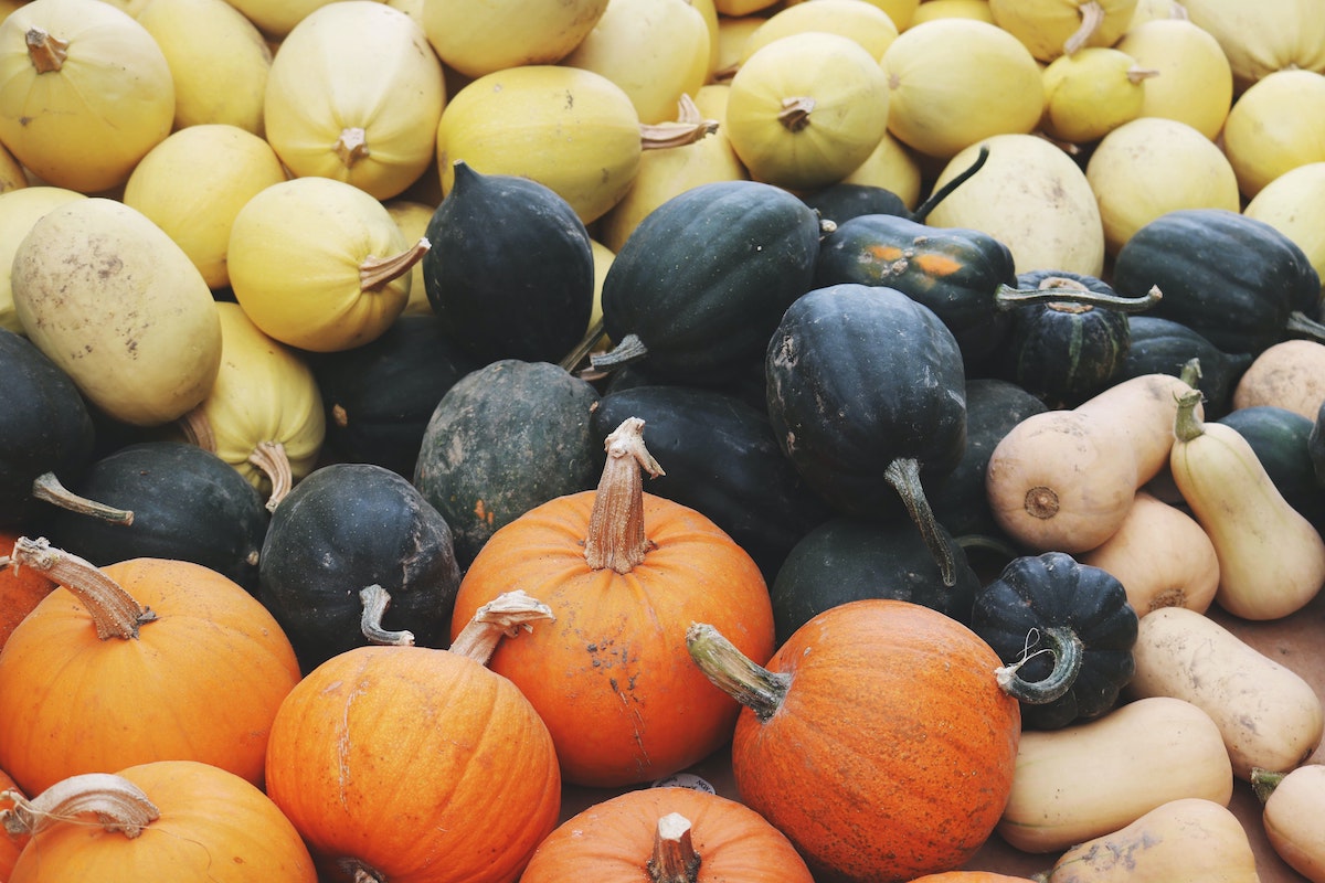 history-of-the-pumpkin-world-traveler-and-halloween-staple-manyeats