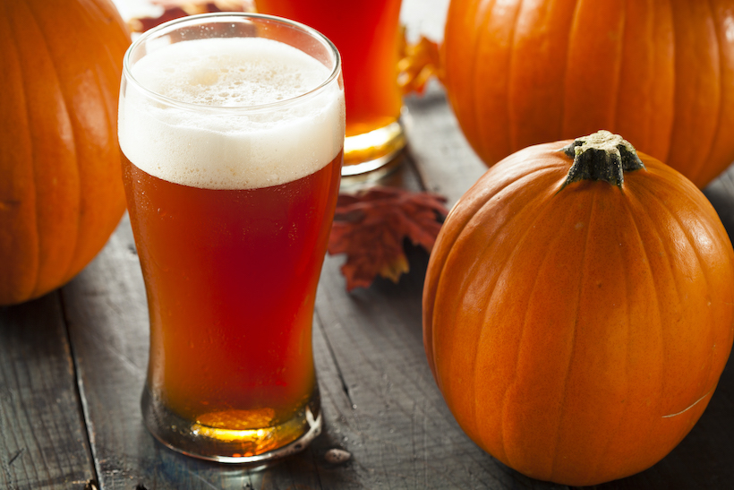 Frothy Orange Pumpkin Ale Ready to Drink