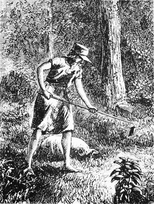 Drawing of Johnny Appleseed from 1871