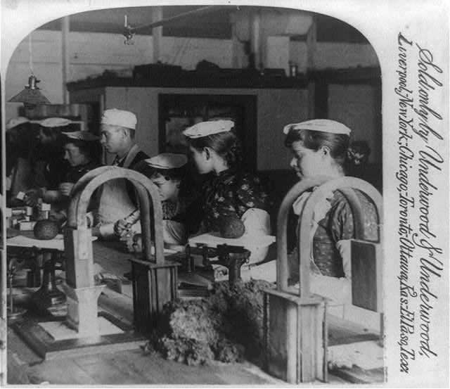 Workers in the mince meat factory