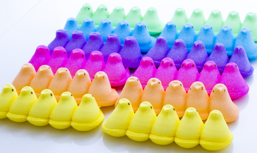 Army of marshmallow chicks for Easter on a white background.