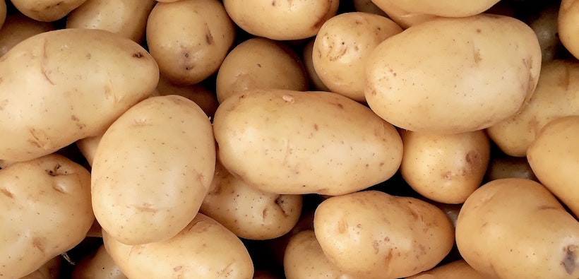 Pile of raw harvested potatoes